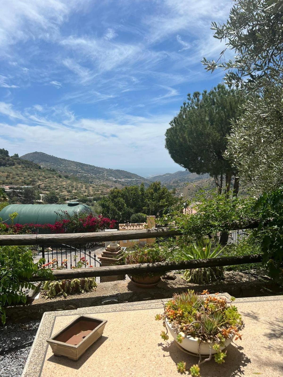 Los Olivos Málaga Kültér fotó