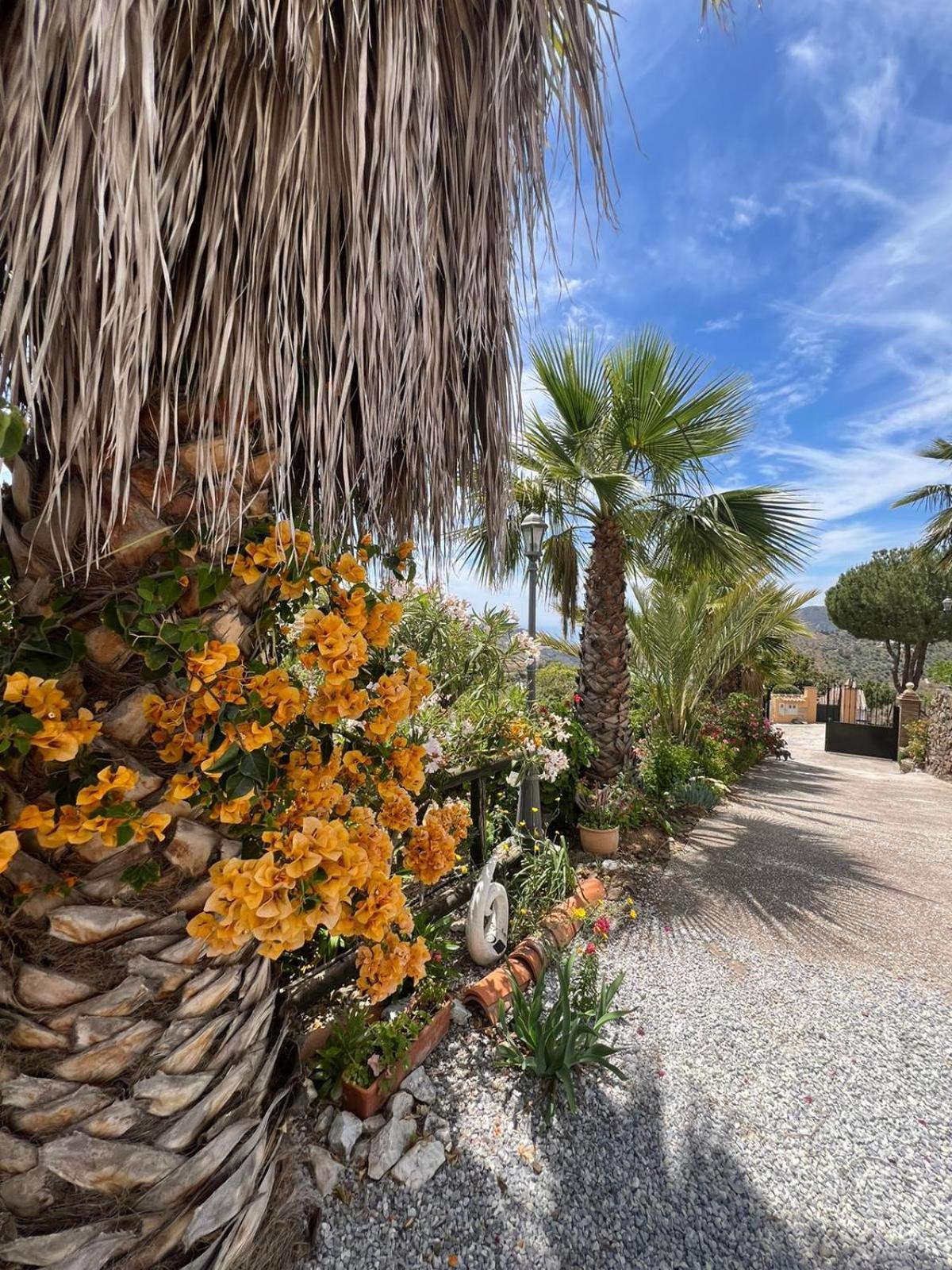 Los Olivos Málaga Kültér fotó